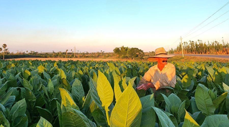 TOUR ĐỘC LẠ SUMMIT TRAVEL HÀ NỘI- CUBA- HAVANA - VARADEO - TRINIDAD - SANTA CLARA
